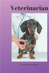 Veterinarian