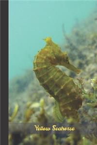 Yellow Seahorse