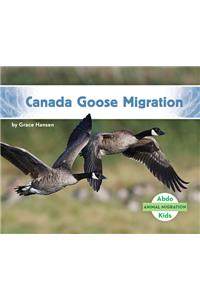 Canada Goose Migration