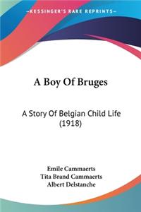 Boy Of Bruges
