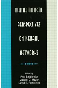 Mathematical Perspectives on Neural Networks