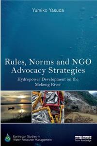 Rules, Norms and NGO Advocacy Strategies