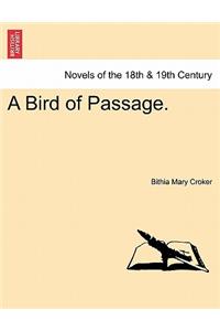 A Bird of Passage.