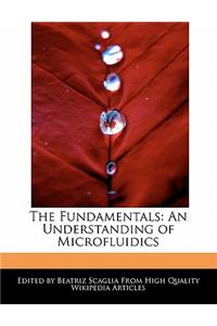 The Fundamentals