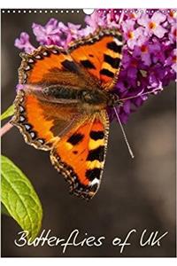 Butterflies of UK 2018