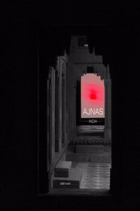 Ajnas