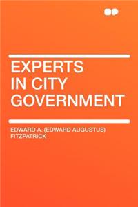 Experts in City Government