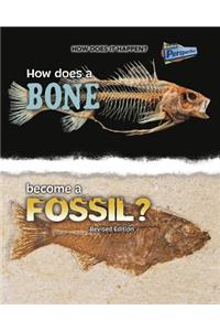 How Does it Happen How Does a Bone Become a Fossil?