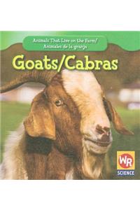 Goats / Las Cabras