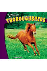 Thoroughbreds