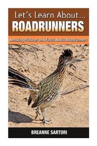 Roadrunners: Amazing Pictures and Facts about Roadrunners