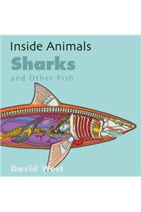 Sharks and Other Fish