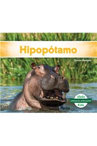 Hipopótamo (Hippopotamus)