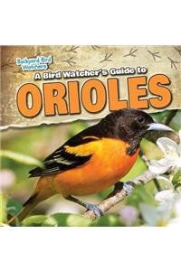 A Bird Watcher's Guide to Orioles