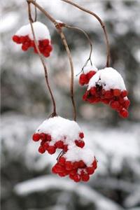 Red Berries Covered in Snow Winter Journal