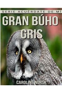 Gran búho gris
