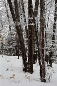 Winter Picture Snowy Trees Journal