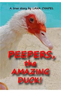 PEEPERS - the Amazing Duck!