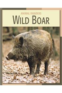 Wild Boar