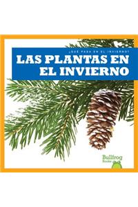 Las Plantas En El Invierno (Plants in Winter)