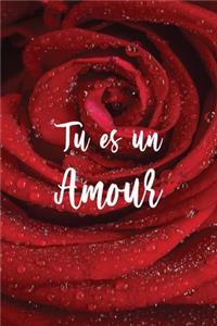 Tu es un amour