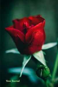 Rose Journal
