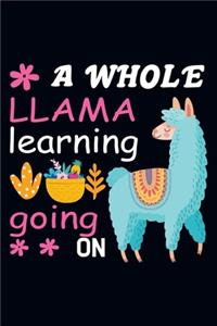 A whole llama learning going on