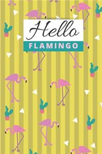 Hello Flamingo