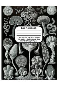Lab Notebook