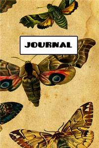 Journal