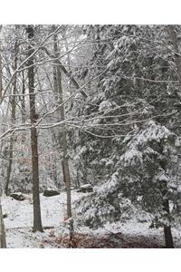 Winter Photo School Composition Book Snow Covered Evergreen Branches 130 Pages