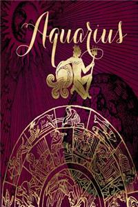 2019 Daily Planner Aquarius Symbol Astrology Wheel Zodiac Horoscope 384 Pages