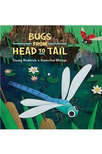 Bugs from Head to Tail