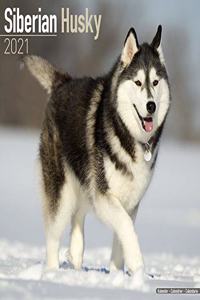Siberian Husky 2021 Wall Calendar