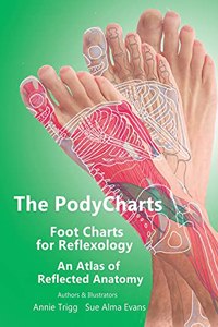 The PodyCharts foot charts for reflexology