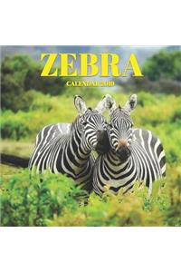 Zebra Calendar 2019