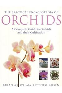 The Practical Encyclopedia of Orchids