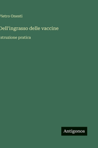 Dell'ingrasso delle vaccine