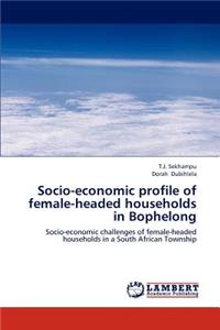 Socio-Economic Profile of Female-Headed Households in Bophelong