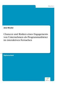 Chancen und Risiken eines Engagements von Unternehmen als Programmanbieter im interaktiven Fernsehen