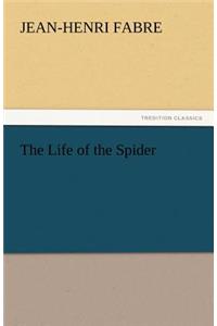Life of the Spider