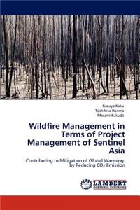 Wildfire Management in Terms of Project Management of Sentinel Asia