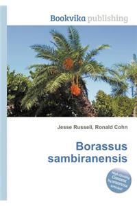 Borassus Sambiranensis