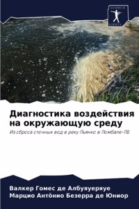 Диагностика воздействия на окружающую ср