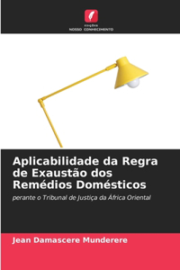 Aplicabilidade da Regra de Exaustão dos Remédios Domésticos