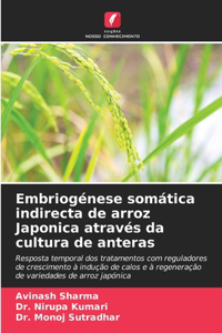 Embriogénese somática indirecta de arroz Japonica através da cultura de anteras