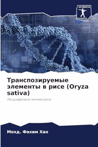 Транспозируемые элементы в рисе (Oryza sativa)