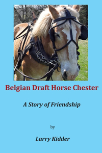 Belgian Draft Horse Chester