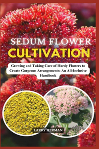 Sedum Flower Cultivation