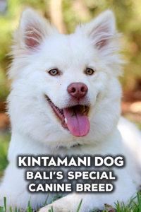 Kintamani Dog